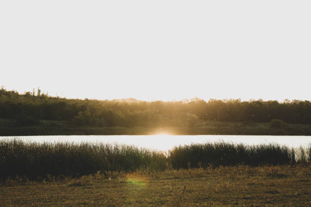 istock River and forest against sunset. Beautiful summer weather 1181412936