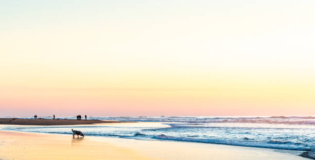 istock sunset or sunrise at the beach 1181413060