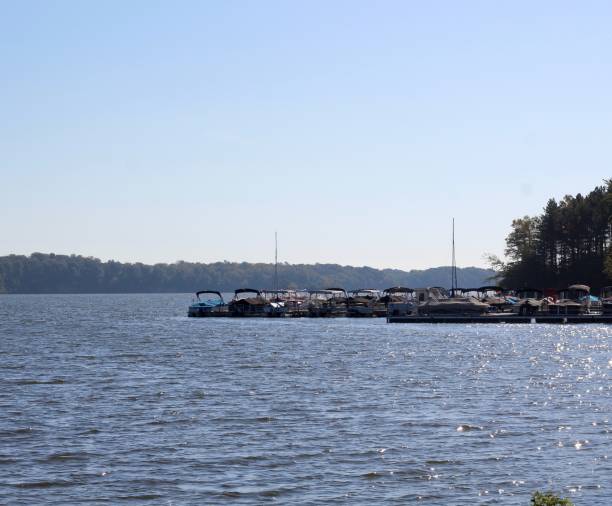 istock Boats in Marina 1181414200