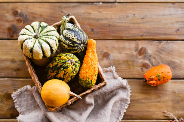 istock Different Thanksgiving Mini Pumpkins on a rustic wooden table. Thanksgiving concept. Autumn, Harvest wicker basket. 1181414468