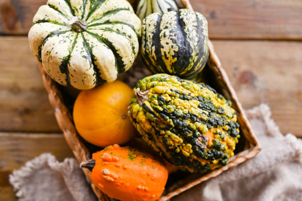 istock Different Thanksgiving Mini Pumpkins on a rustic wooden table. Thanksgiving concept. Autumn, Harvest wicker basket. 1181414472