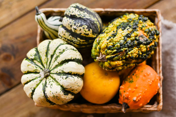 istock Different Thanksgiving Mini Pumpkins on a rustic wooden table. Thanksgiving concept. Autumn, Harvest wicker basket. 1181414473
