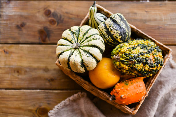 istock Different Thanksgiving Mini Pumpkins on a rustic wooden table. Thanksgiving concept. Autumn, Harvest wicker basket. 1181414477