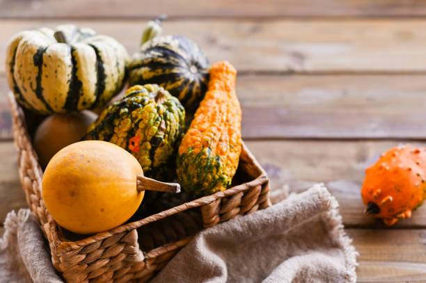 istock Different Thanksgiving Mini Pumpkins on a rustic wooden table. Thanksgiving concept. Autumn, Harvest wicker basket. Napkin is old. Focus is selective. 1181414566