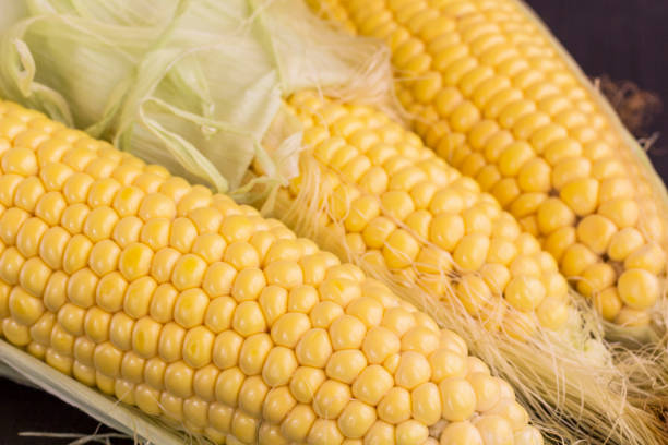 istock Raw corns with green leaves. Close-up 1181417213