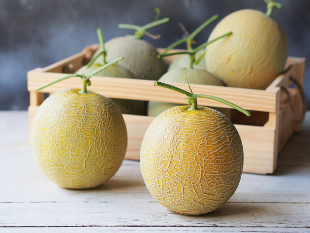 Honeydew or melon fruit. Honeydew or melon fruit on wooden table. yellow melons field stock pictures, royalty-free photos & images