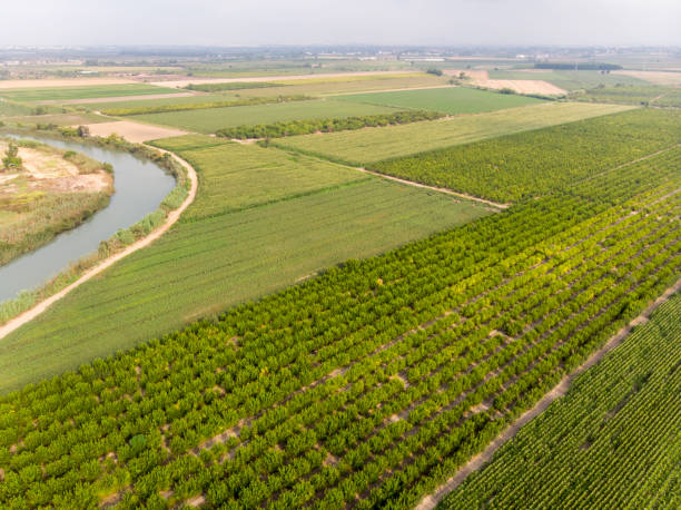 istock Farmland, aerial view 1181418521