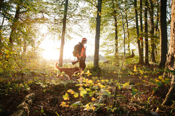 istock female hunter and her dog walk through forest in autumn 1181418618