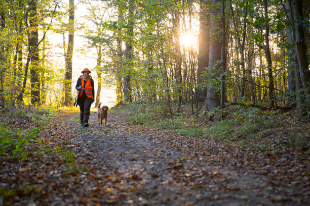 istock female hunter and her dog walk through forest in autumn 1181418740