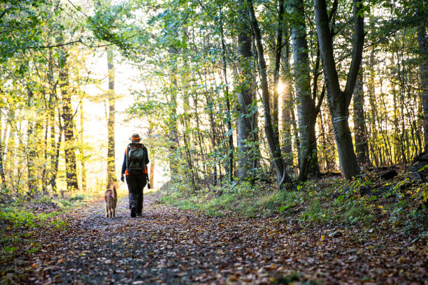 istock female hunter and her dog walk through forest in autumn 1181418775