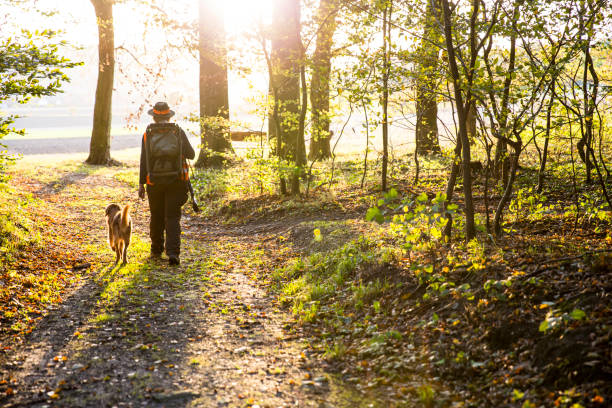 istock female hunter and her dog walk through forest in autumn 1181418925