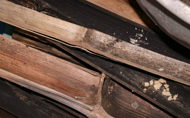 istock Close up of old brown Bamboo 1181421569