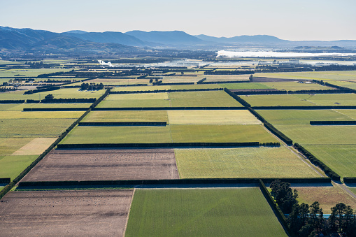 High Above The Canterbury Plains, New Zealand
