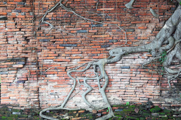 istock texture of old ancient wall background. 1181422211