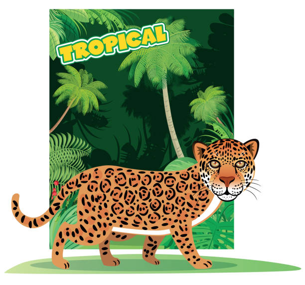 illustrazioni stock, clip art, cartoni animati e icone di tendenza di leopardo e foresta - safari animals asia palm tree animals in the wild