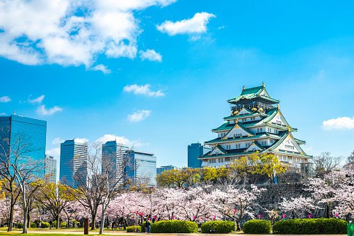 Osaka,Japan - April 8, 2019: Spring day with cherry blossoms and Osaka Castle in Osaka, Japan. The castle is one of Japan's most famous landmarks.