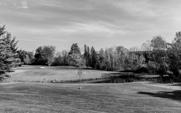 istock black and white golf course greens and trees 1181424617