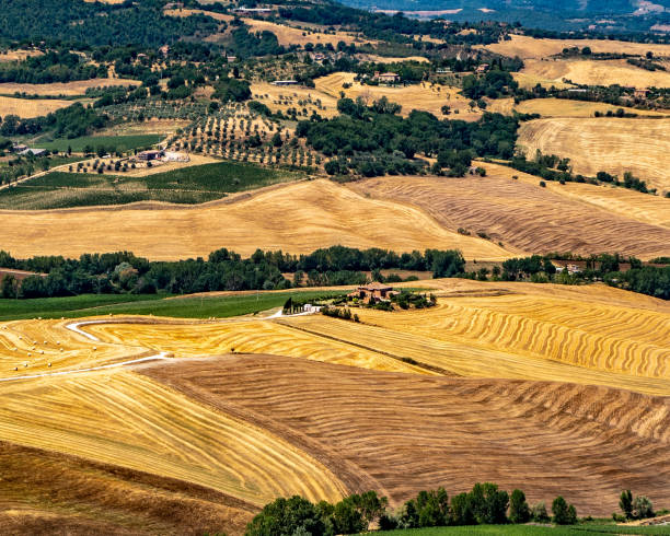 istock Yellow Fields in Montepulciano Italy 1181430609