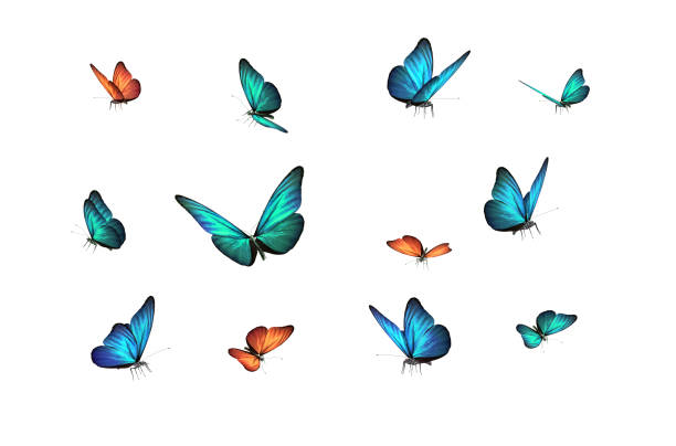 Lot of blue butterflies flying and white flowers on light gray background,