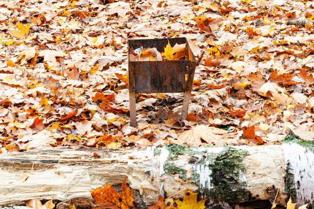 rusty small barbecue grill with trash on meadow covered by fallen leaves in city park in autumn