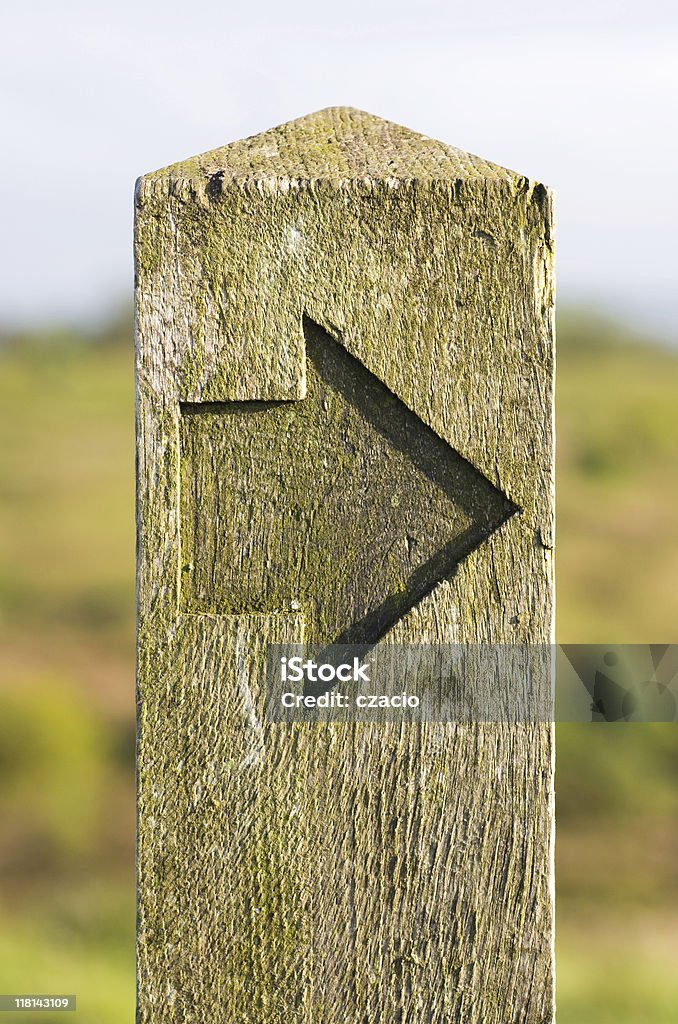 Pied de cette façon - Photo de Bois libre de droits