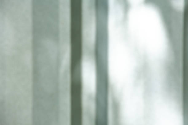 istock Bokeh blurred concrete wall, Cement texture, White painted colour background, Light and shadow shot 1181432537