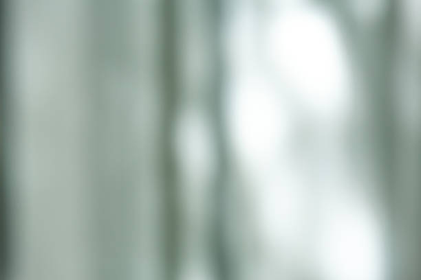 istock Bokeh blurred concrete wall, Cement texture, White painted colour background, Light and shadow shot 1181432588