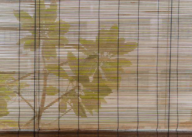 istock green plant behind traditional style bamboo curtain background 1181432780