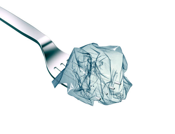 istock plastic bag ready to eat on a fork for lunch, white background. 1181433855