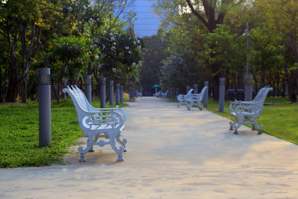 Chairs on the lawn in the park.