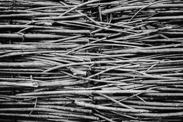a lot of wooden branches. background and text for the website