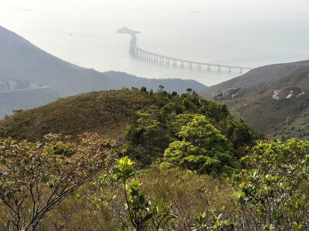 istock Hong Kong–Zhuhai–Macau Bridge 1181440367