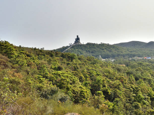 istock Tian Tan Buddha, Lantau, Hong Kong 1181440545