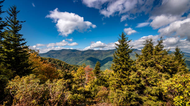 hints of fall in blue ridge parkway - blue ridge mountains appalachian mountains sunrise mountain imagens e fotografias de stock