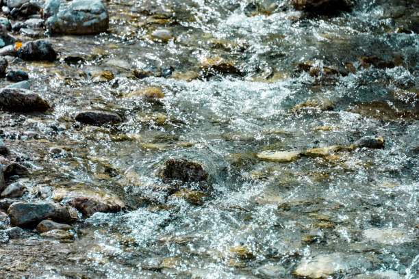 The bottom of a clear stream