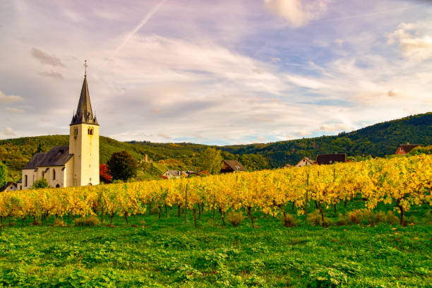 istock Beilstein small village on the Moselle 1181447286