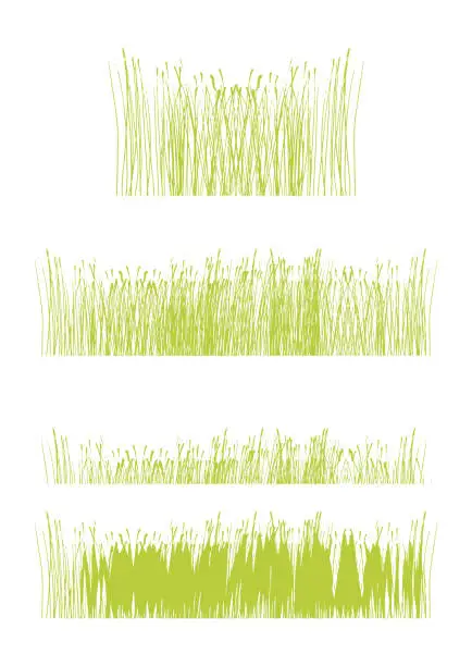 Vector illustration of Growing Grass Silhouettes