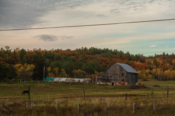 istock Autumn Landscape - Wooden Barn 1181449901