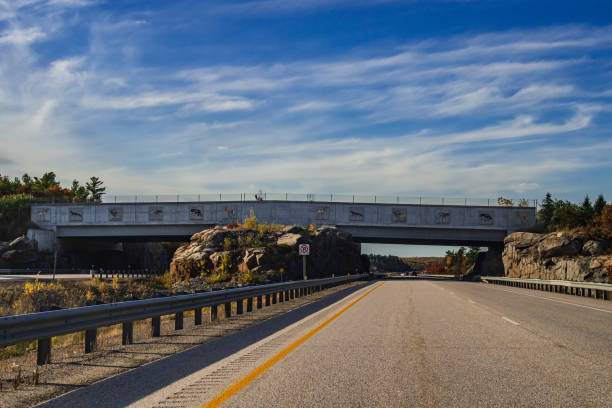 Overpass Bridges going over a Divided Highway in Rural Setting