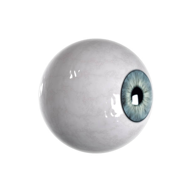 blu bulbo oculare vista laterale - occhio di vetro foto e immagini stock