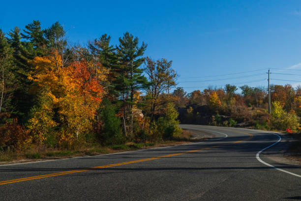 istock Autumn Scene, Road turning around Trees Changing colour 1181451076