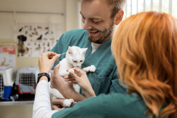 Veterinary Assistant Class in Lower Sackville