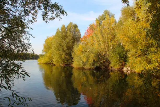 Golden October at the Lake