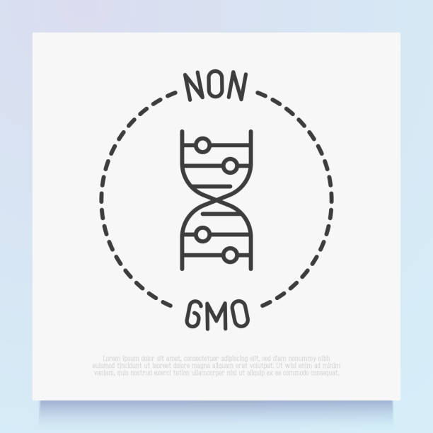 symbol bez gmo. cienka ikona linii dla żywności ekologicznej, produktu kosmetycznego. nowoczesna ilustracja wektorowa. - non gmo stock illustrations