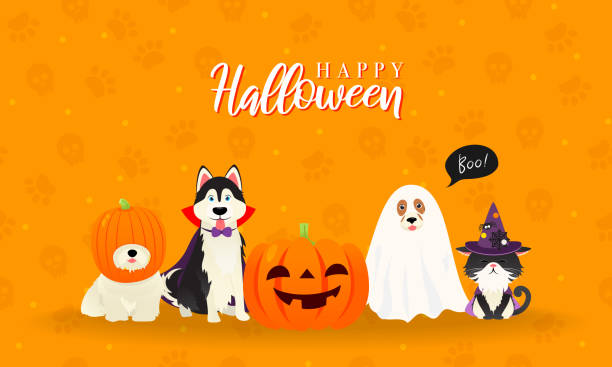 ilustraciones, imágenes clip art, dibujos animados e iconos de stock de feliz ilustración vectorial de la tarjeta de felicitación de halloween. lindo gato y perros en traje de mascota de halloween - witchs hat costume witch holidays and celebrations