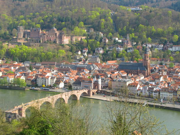 istock Heidelberg and the river Neckar 118145672