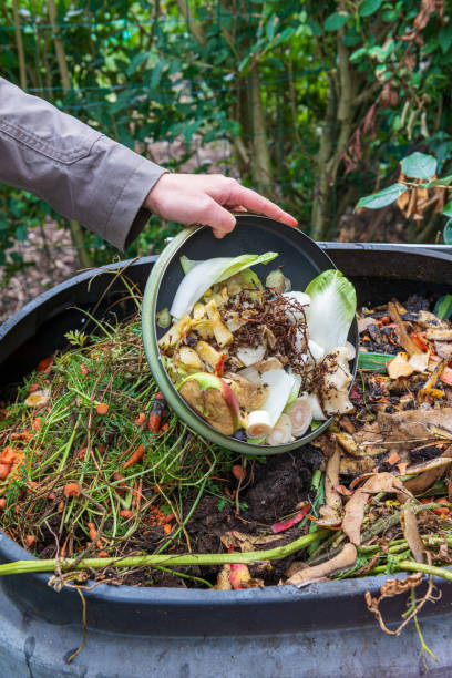 istock Woman throwing compost with kitchen waste 1181456965