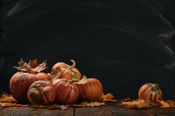istock Thanksgiving background. Autumn harvest 1181457335
