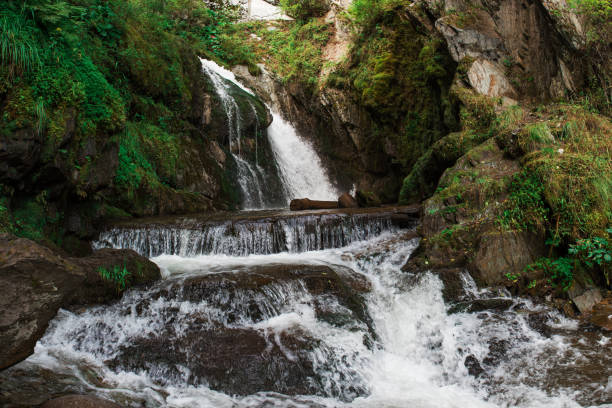 istock Choodor Waterfall at Lake Teletskoye 1181461977