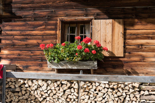 istock Hut and window with red flowers 1181462914